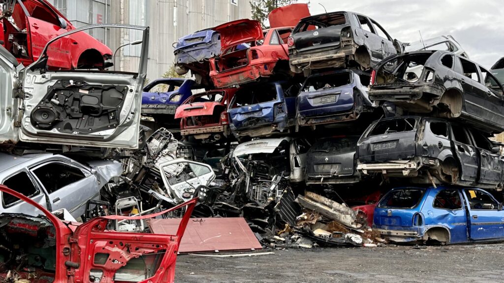 DDC89D39-FBA0-4AC3-AAD5-BEA8765CB3AD-scaled