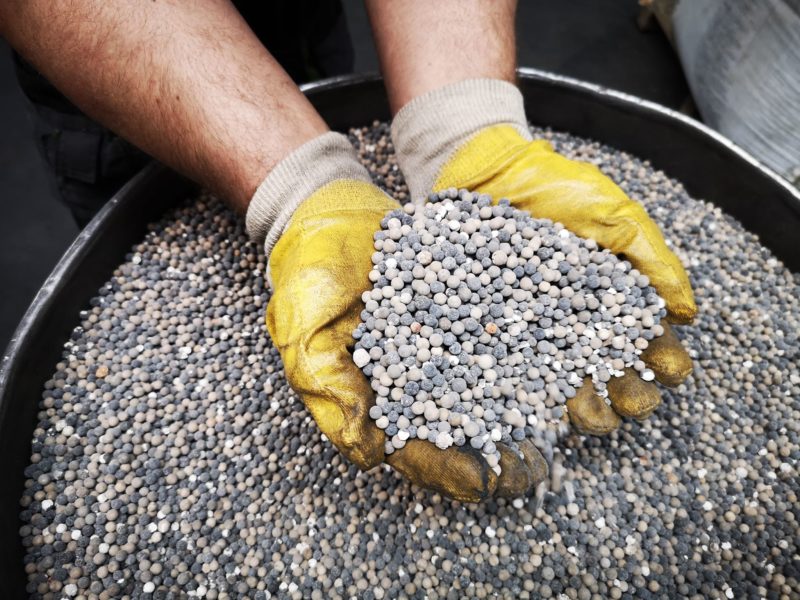 101736615_257136188835294_5492095361386283008_n-e1591705045188